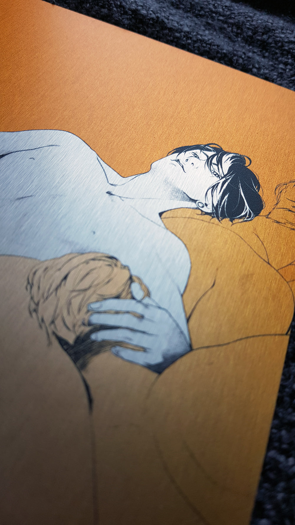 ALUMINIUM COMPOSITE PANEL Hiroki and Elia Kink #5 - EDIllustration