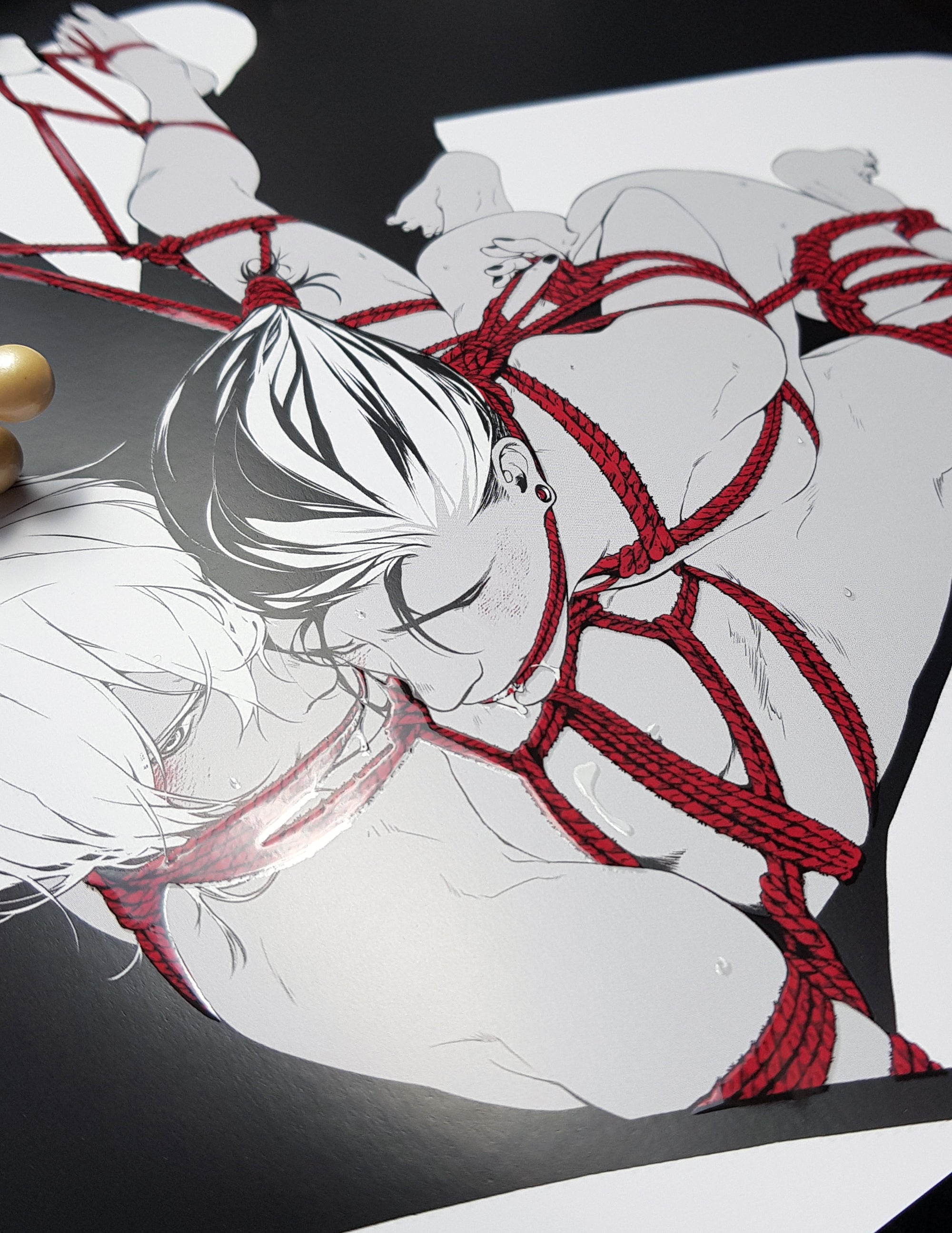 PRINT KINK21 - Shibari (partial relief varnish) - EDIllustration