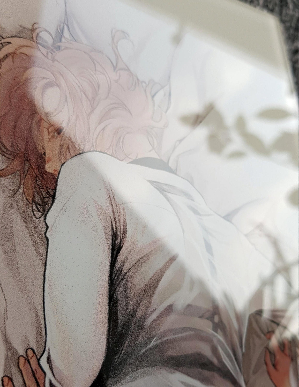 ACRYLIC PLATE As(s) you wish - EDIllustration